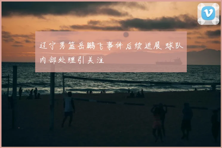 辽宁男篮岳鹏飞事件后续进展 球队内部处理引关注