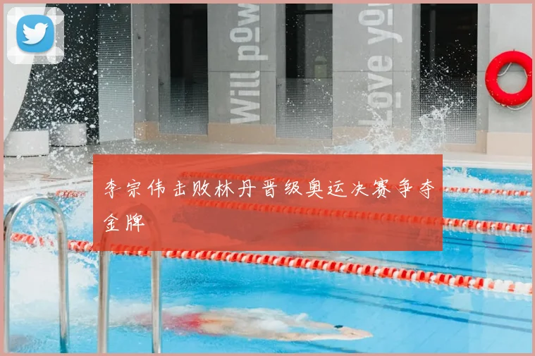 李宗伟击败林丹晋级奥运决赛争夺金牌