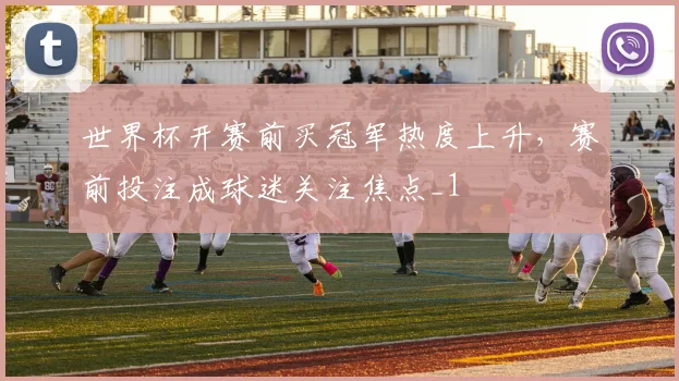 世界杯开赛前买冠军热度上升,赛前投注成球迷关注焦点_1