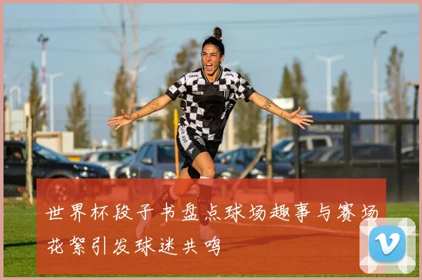 世界杯段子书盘点球场趣事与赛场花絮引发球迷共鸣